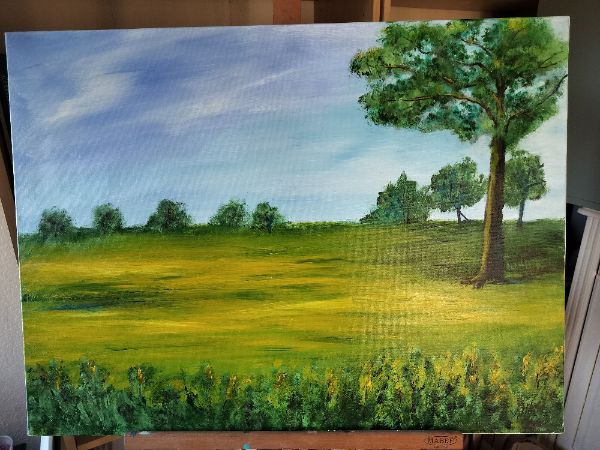Fields of yellow