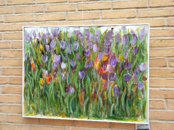 Field Study II